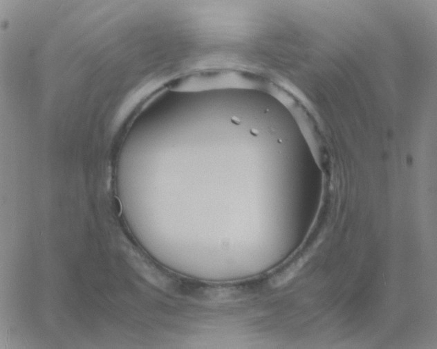 X0000060771461200512082021