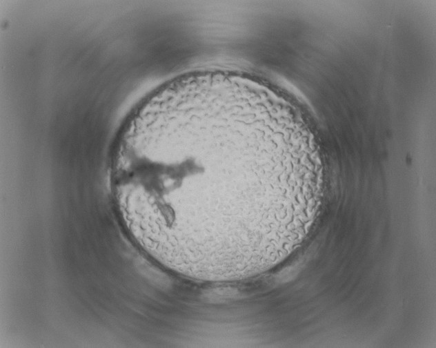 X0000060771462200512082021