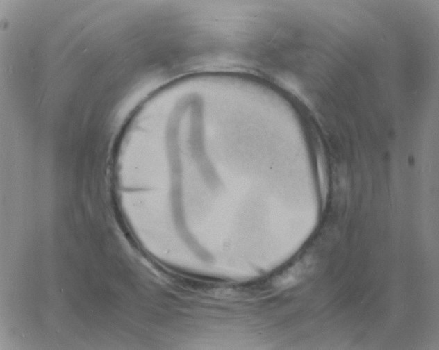 X0000060771463200512082021