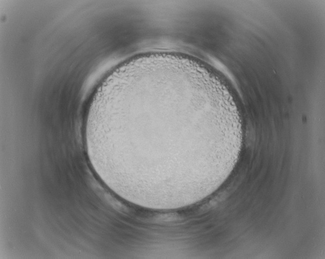 X0000060771464200512082021