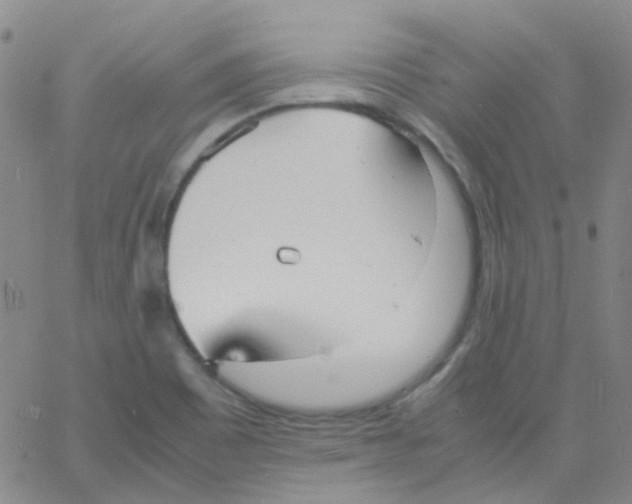 X0000060771465200512082021