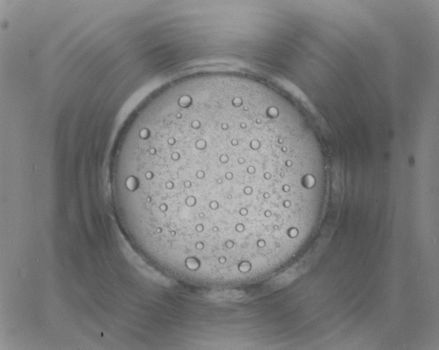 X0000060771466200512082021