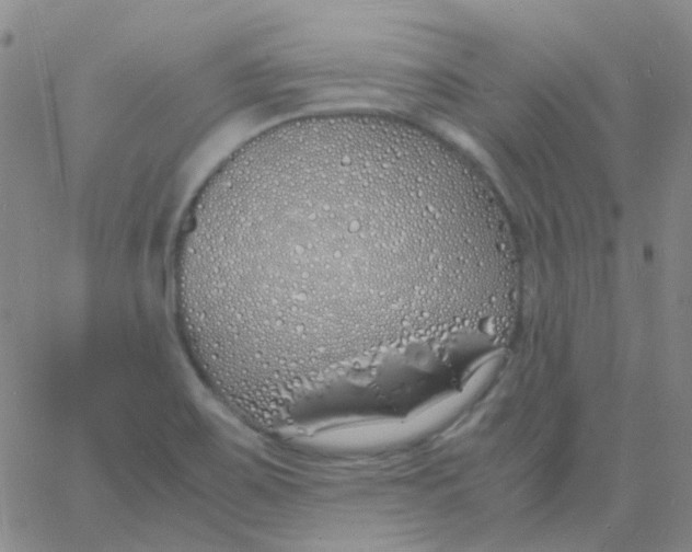 X0000060771467200512082021