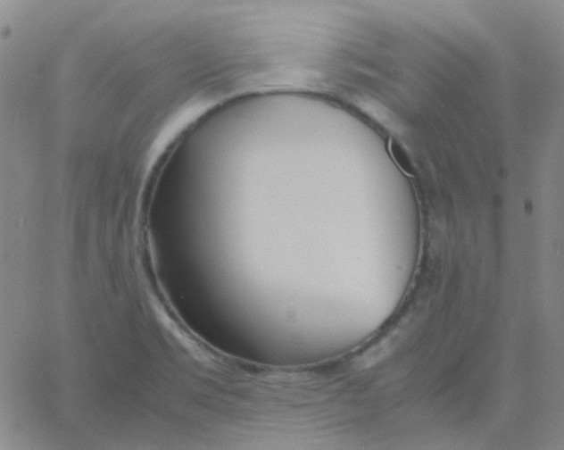 X0000060771469200512082021