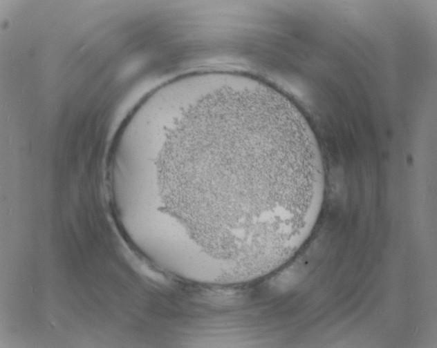 X0000060771470200512082021