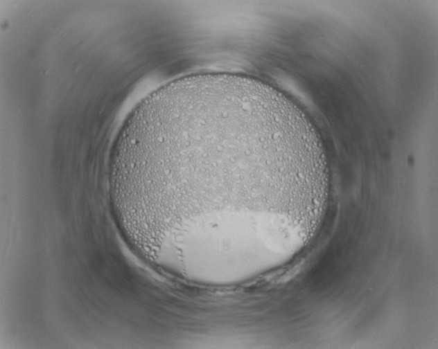 X0000060771471200512082021