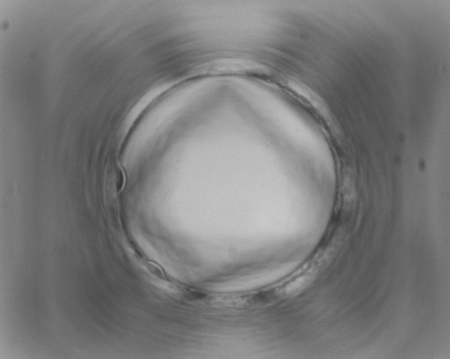 X0000060771473200512082021