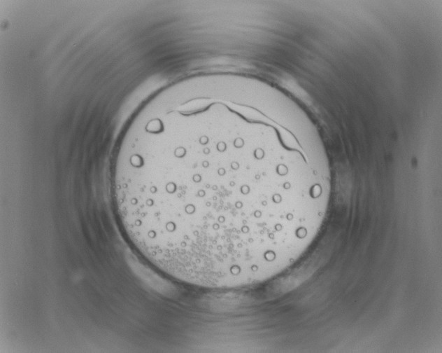 X0000060771474200512082021