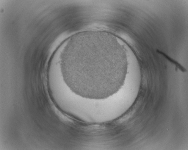 X0000060771478200512082021