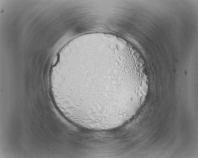 X0000060771479200512082021