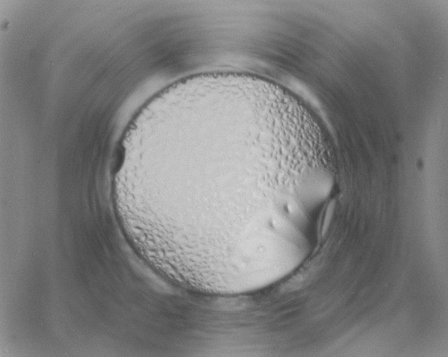 X0000060771480200512082021