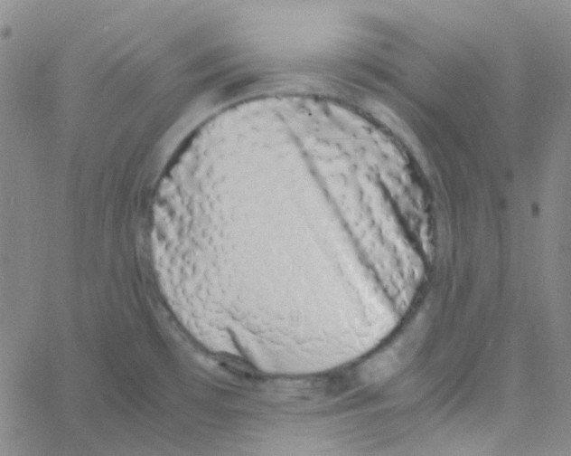 X0000060771481200512082021