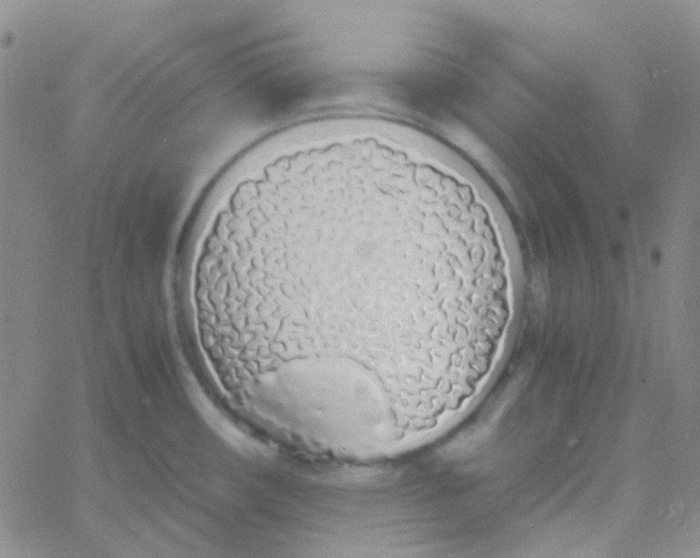 X0000060771482200512082021