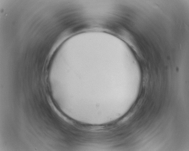 X0000060771484200512082021