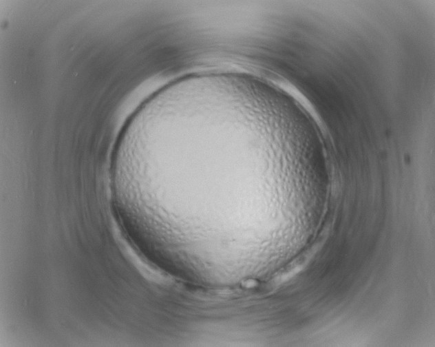 X0000060771485200512082021