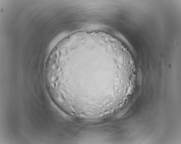 X0000060771487200512082021