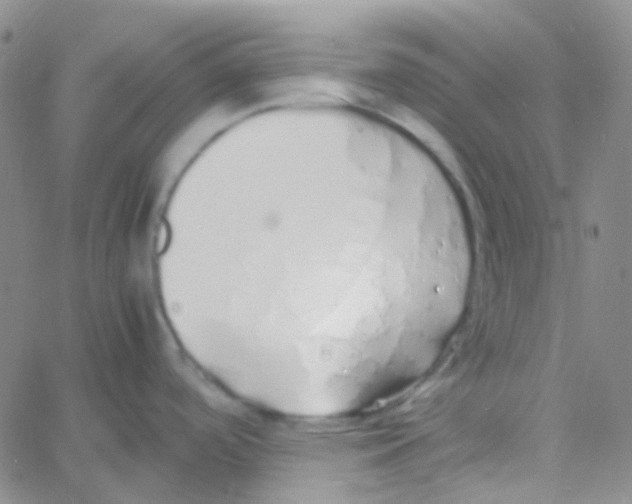 X0000060771488200512082021