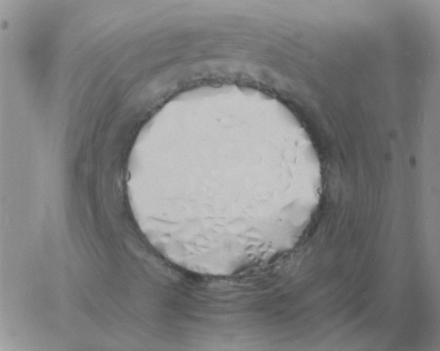 X0000060771489200512082020