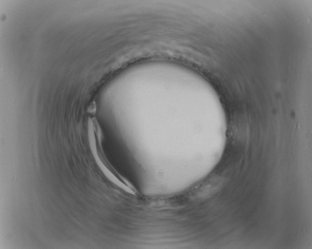 X0000060771490200512082020