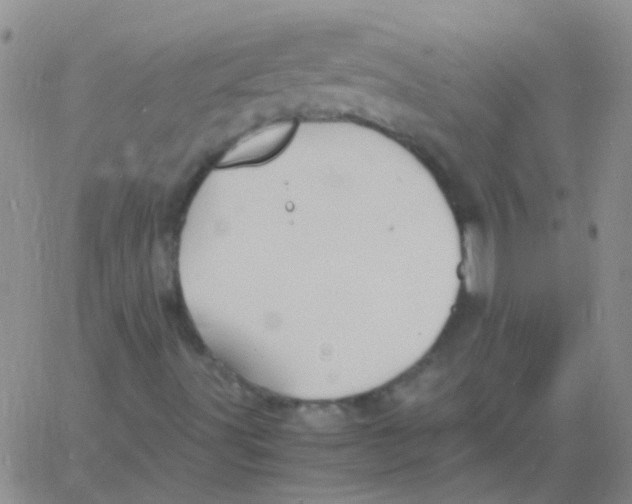 X0000060771491200512082020