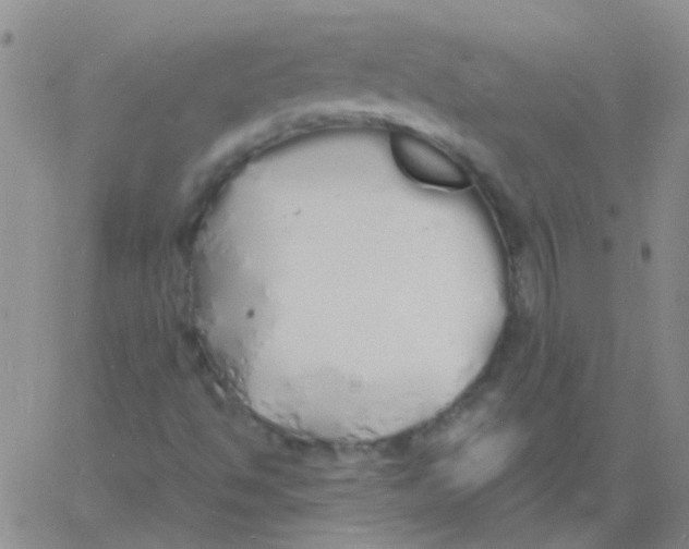 X0000060771494200512082020