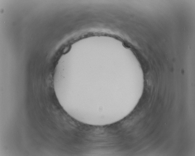 X0000060771495200512082020