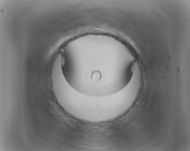 X0000060771496200512082020