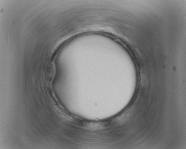 X0000060771497200512082020