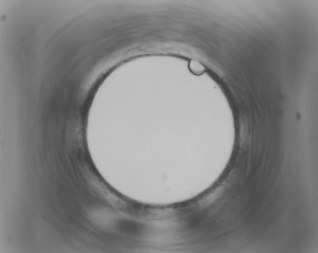 X0000060771498200512082020