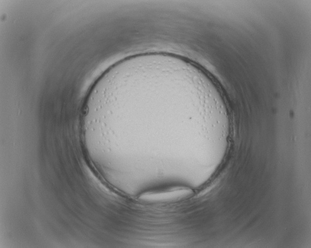 X0000060771500200512082020