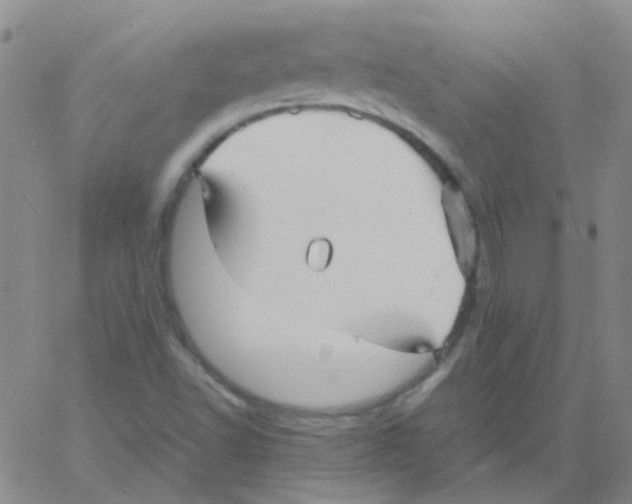 X0000060771502200512082020