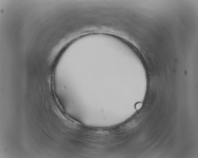 X0000060771503200512082020