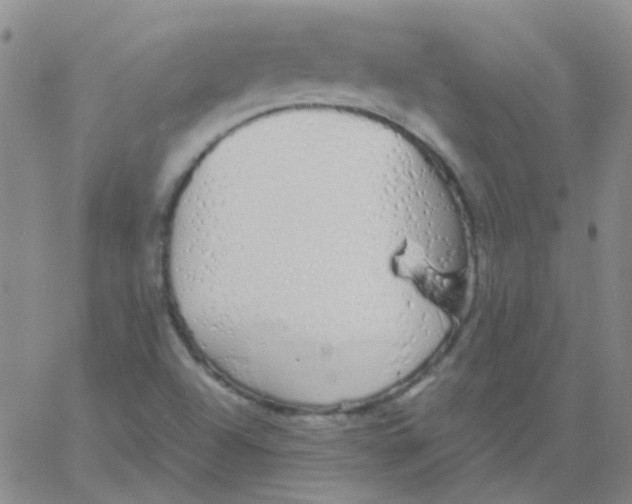 X0000060771504200512082020