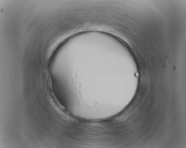 X0000060771507200512082020