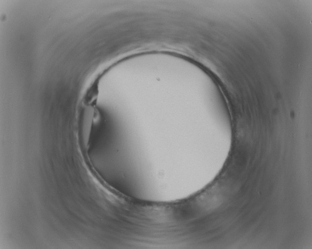 X0000060771508200512082020