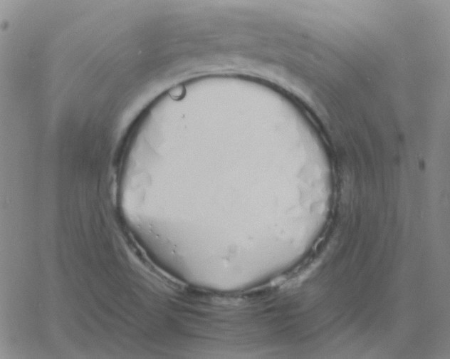 X0000060771509200512082020