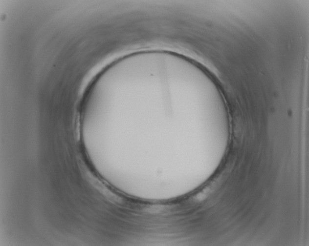 X0000060771510200512082020