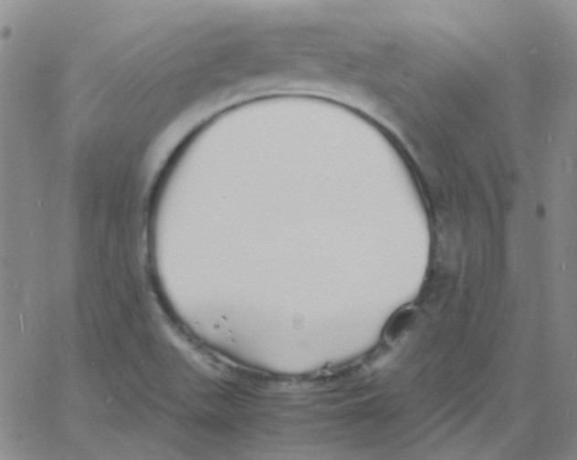 X0000060771511200512082020