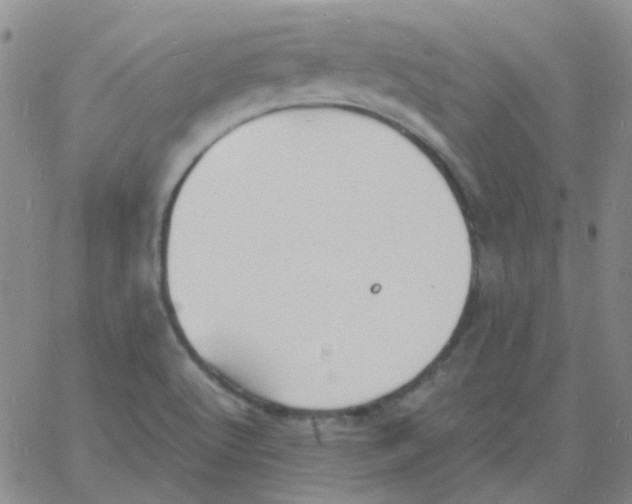 X0000060771512200512082020