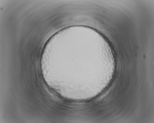 X0000060771513200512082020