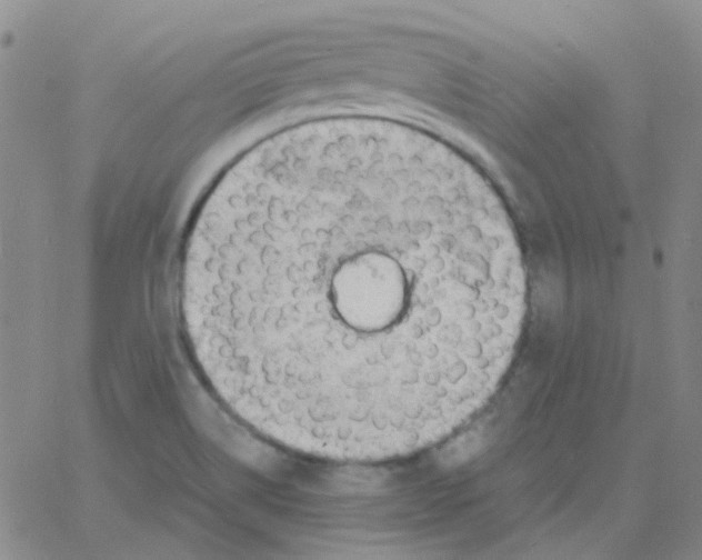 X0000060771514200512082020