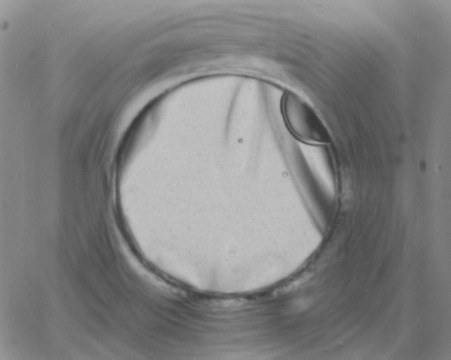 X0000060771515200512082020