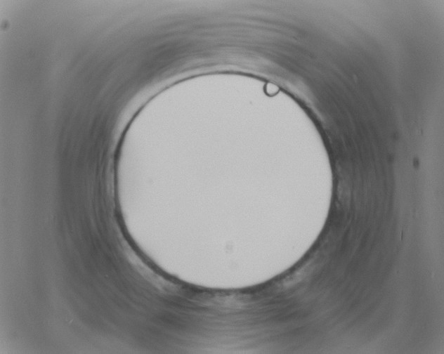 X0000060771516200512082020