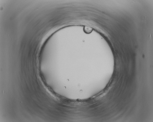 X0000060771517200512082020