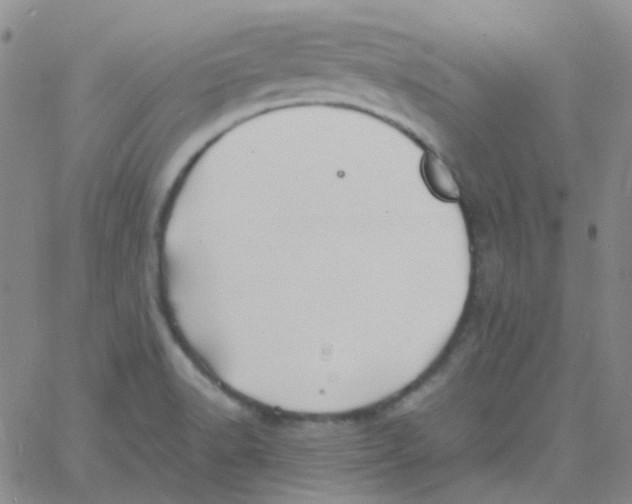 X0000060771518200512082020