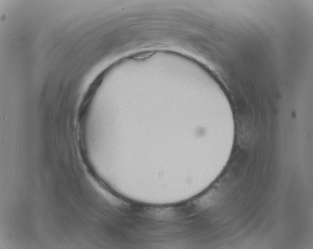 X0000060771519200512082020