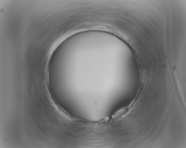 X0000060771520200512082020