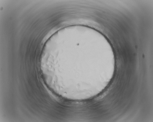 X0000060771521200512082020