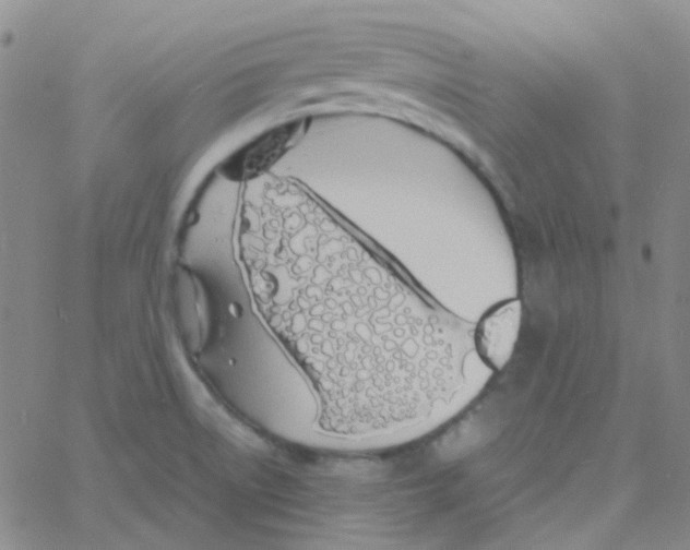 X0000060771522200512082020