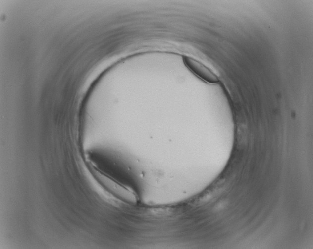 X0000060771523200512082020